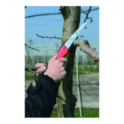 Scie Scie à Coupe Tirante Lame 33 Cm Felco 5 Scie Scie à Coupe Tirante Lame 33 Cm Felco -Magasin D'Outils Pour La Maison De Qualité scie scie a coupe tirante lame 33 cm felco 100235 1 Cq8j5Iyd xl