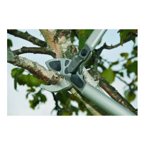 Sécateur à Deux Mains Elagueur Démultiplié à Enclume Courbe Longueur 80 Cm Pour Une Coupe Facilitée Felco 4 Sécateur à Deux Mains Elagueur Démultiplié à Enclume Courbe Longueur 80 Cm Pour Une Coupe Facilitée Felco – Image 2