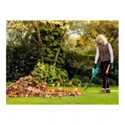 Souffleur De Feuilles à Batterie Bosch ALB 18 LI -Magasin D'Outils Pour La Maison De Qualité souffleur de feuilles a batterie bosch alb 18 li 9999225 1 ejaBehZC xl