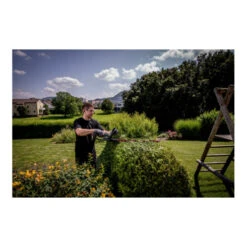 Taille-haie Sans Fil Metabo HS 18 LTX 65 (601719850); Carton -Magasin D'Outils Pour La Maison De Qualité taille haie sans fil metabo hs 18 ltx 65 601719850 carton 69458894 1 70fMpVkm xl