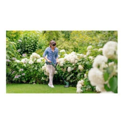 Taille-herbes Sans Fil Bosch EasyGrassCut 18V-26 9 Taille-herbes Sans Fil Bosch EasyGrassCut 18V-26 -Magasin D'Outils Pour La Maison De Qualité taille herbes sans fil bosch easygrasscut 18v 26 93843389 3 BH92DOLx xl