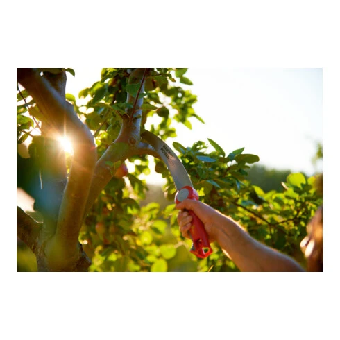 WOLF-Garten POWER CUT SAW 370 4 WOLF-Garten POWER CUT SAW 370 – Image 2